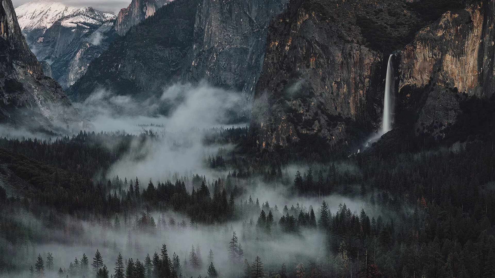 fog hanging over a forest in a mountain valley