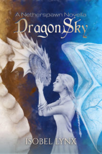 The book cover of DragonSky