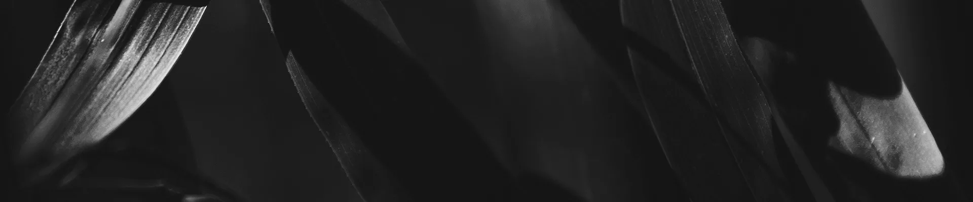 black surface