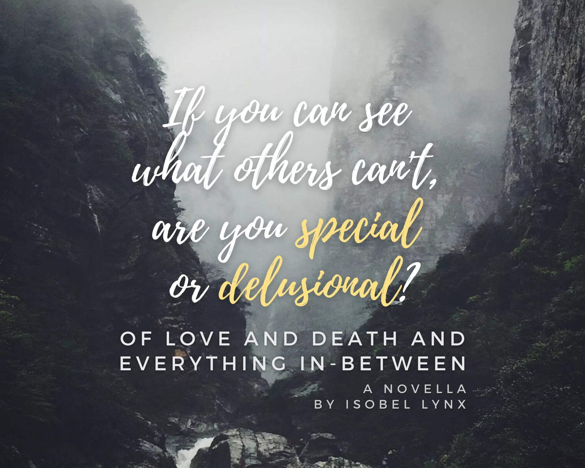 Book promo: If you can see what others can't, are you special or delusional?