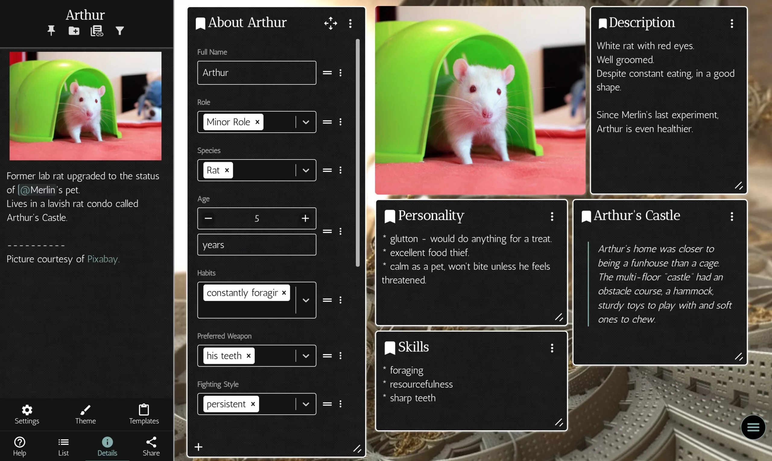 Profile of Arthur, a rat, page 1 with About panel, and a few text panels with description, personality, skills and an excerpt about Arthur's castle