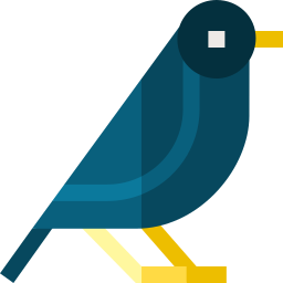 black bird